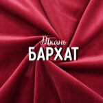 Бархат